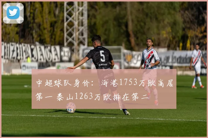 中超球队身价：海港1753万欧高居第一 泰山1263万欧排在第二
