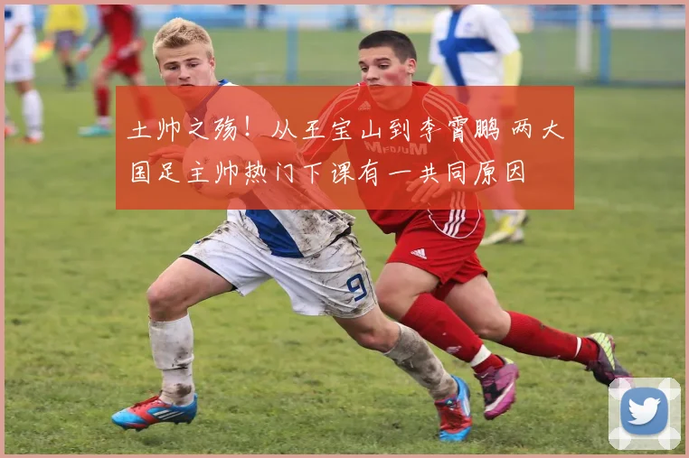 土帅之殇！从王宝山到李霄鹏 两大国足主帅热门下课有一共同原因